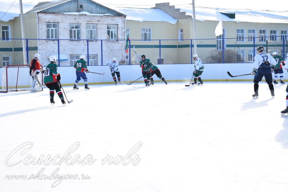 Аксубаевские хоккеисты выиграли Первенство РТ по хоккею среди мужских команд