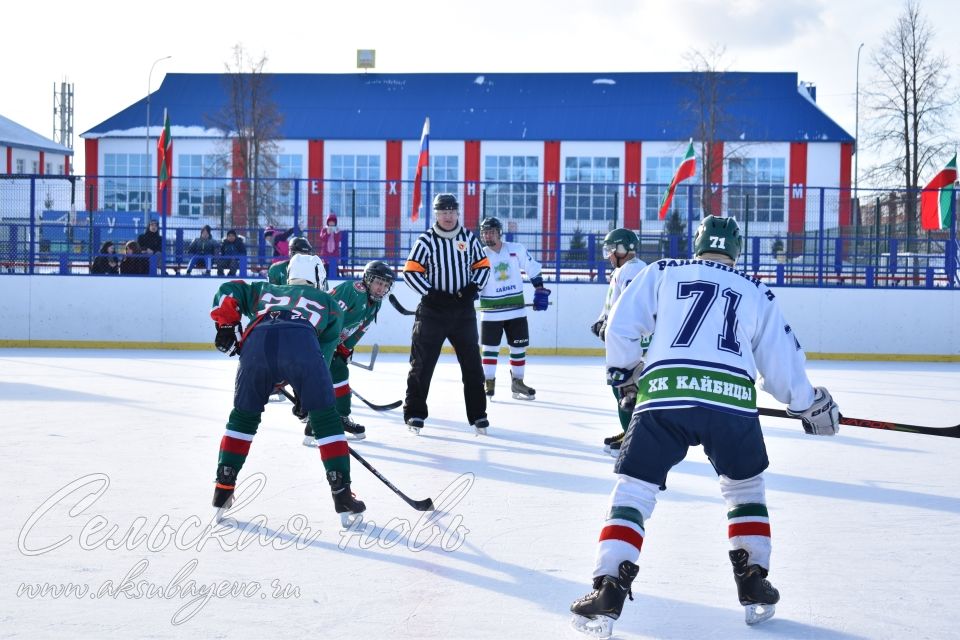 Аксубаевские хоккеисты выиграли Первенство РТ по хоккею среди мужских команд