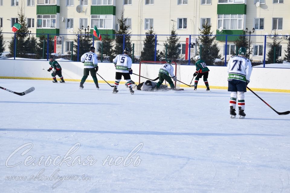 Аксубаевские хоккеисты выиграли Первенство РТ по хоккею среди мужских команд