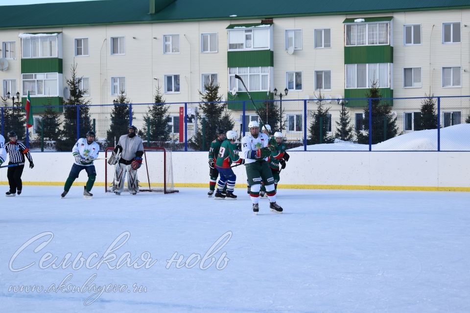 Аксубаевские хоккеисты выиграли Первенство РТ по хоккею среди мужских команд