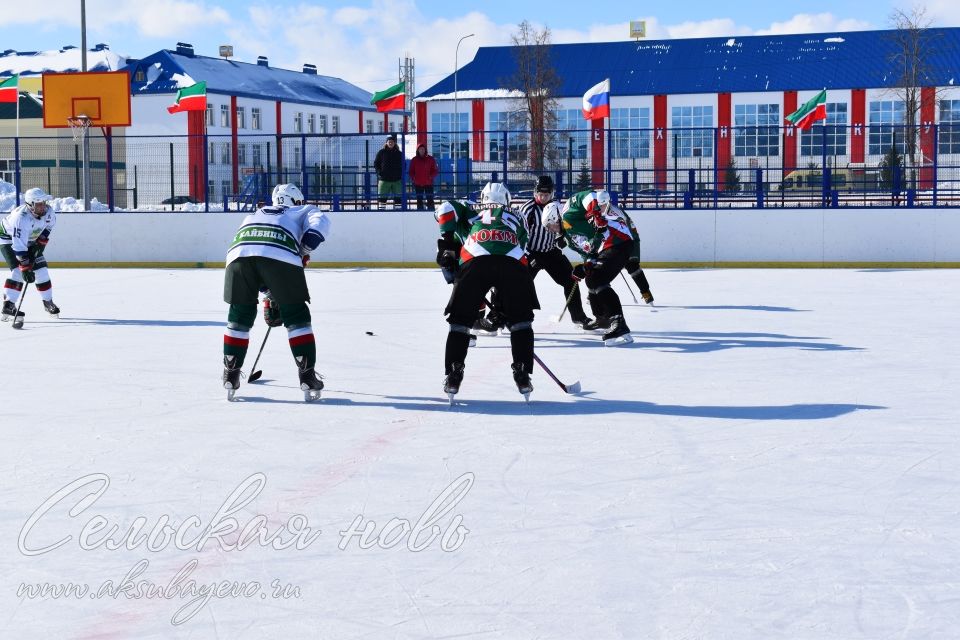 Аксубаевские хоккеисты выиграли Первенство РТ по хоккею среди мужских команд