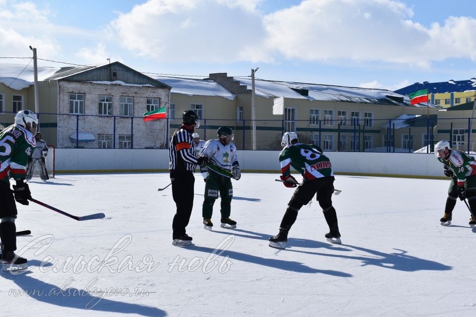 Аксубаевские хоккеисты выиграли Первенство РТ по хоккею среди мужских команд