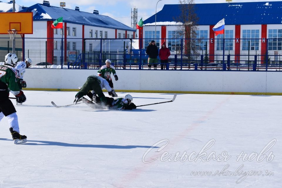 Аксубаевские хоккеисты выиграли Первенство РТ по хоккею среди мужских команд