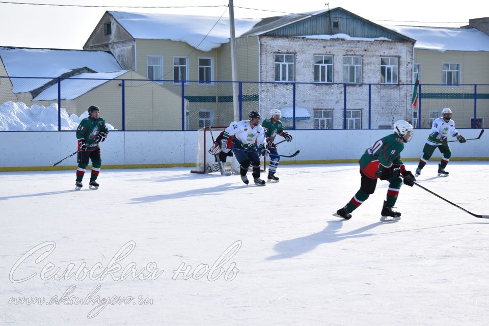 Аксубаевские хоккеисты выиграли Первенство РТ по хоккею среди мужских команд