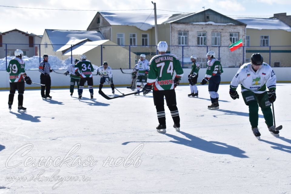 Аксубаевские хоккеисты выиграли Первенство РТ по хоккею среди мужских команд