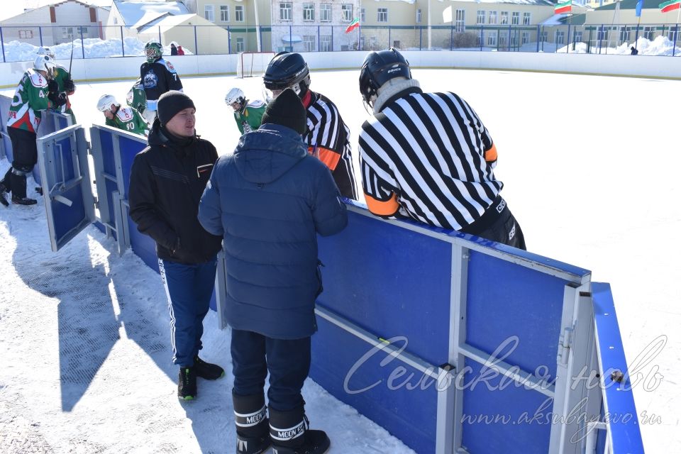 Аксубаевские хоккеисты выиграли Первенство РТ по хоккею среди мужских команд