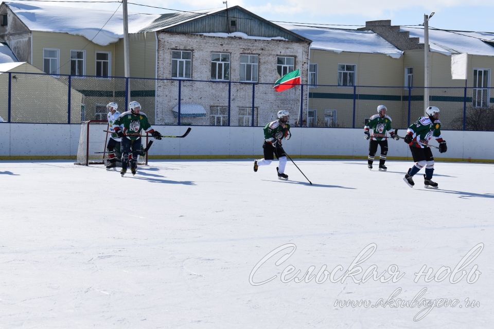 Аксубаевские хоккеисты выиграли Первенство РТ по хоккею среди мужских команд