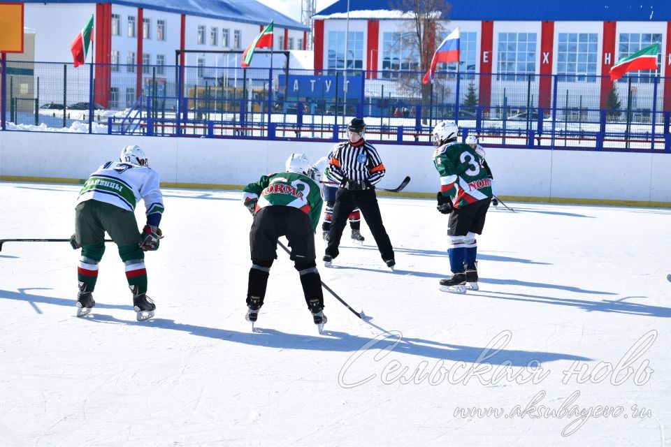 Аксубаевские хоккеисты выиграли Первенство РТ по хоккею среди мужских команд