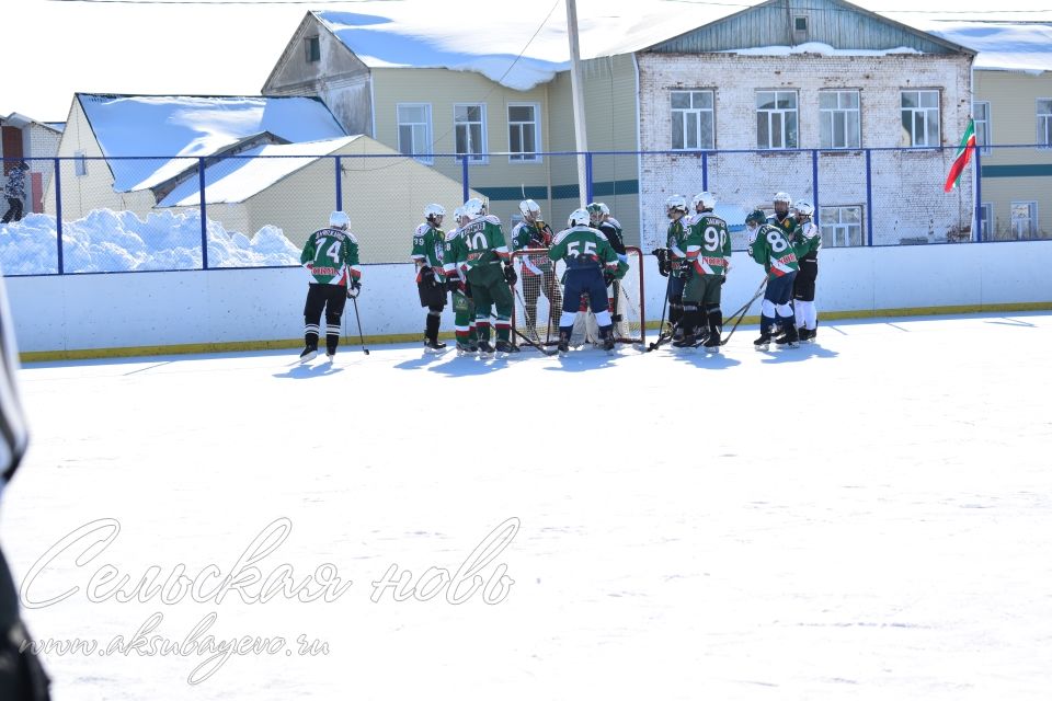 Аксубаевские хоккеисты выиграли Первенство РТ по хоккею среди мужских команд