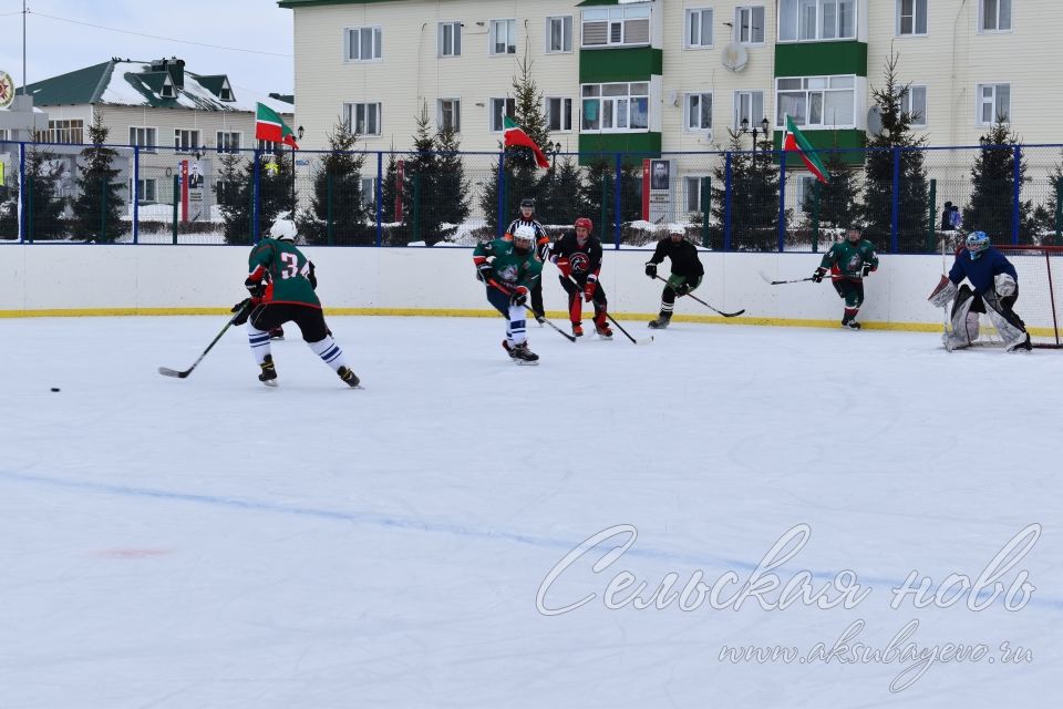 Аксубаевские хоккеисты выиграли Первенство РТ по хоккею среди мужских команд