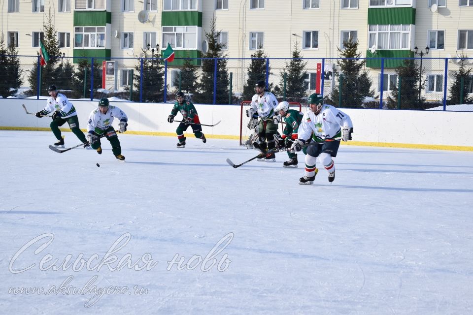 Аксубаевские хоккеисты выиграли Первенство РТ по хоккею среди мужских команд