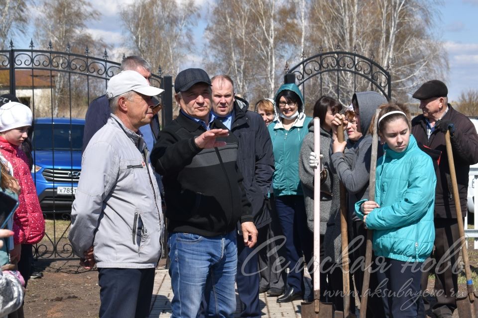 В Кривоозерках благоустроили парк отдыха