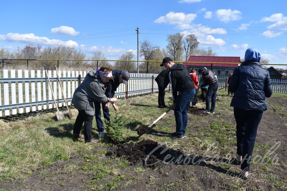 В Кривоозерках благоустроили парк отдыха