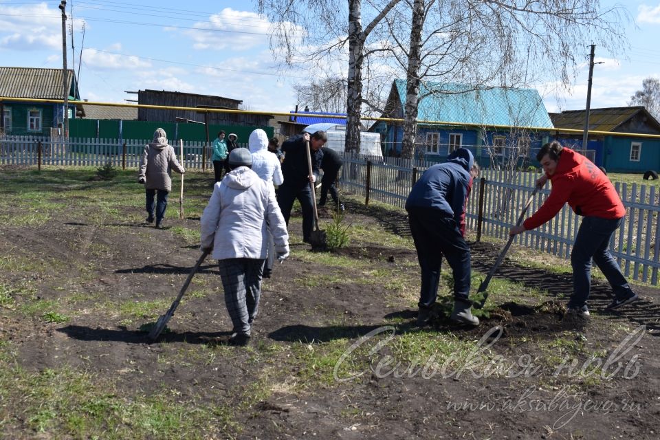 В Кривоозерках благоустроили парк отдыха