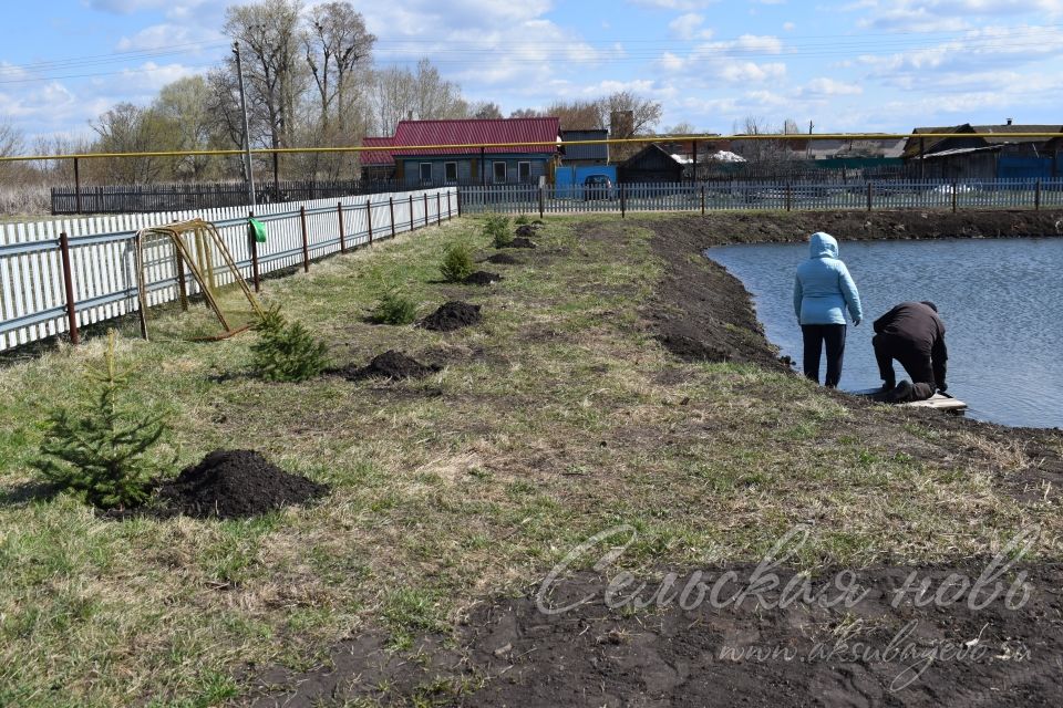 В Кривоозерках благоустроили парк отдыха