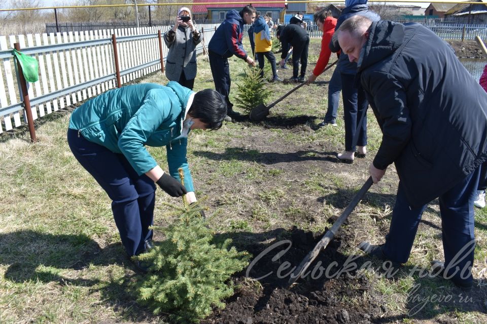 В Кривоозерках благоустроили парк отдыха