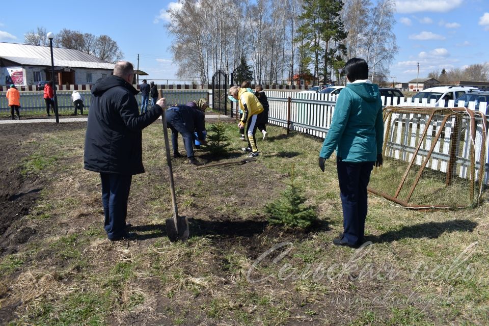 В Кривоозерках благоустроили парк отдыха