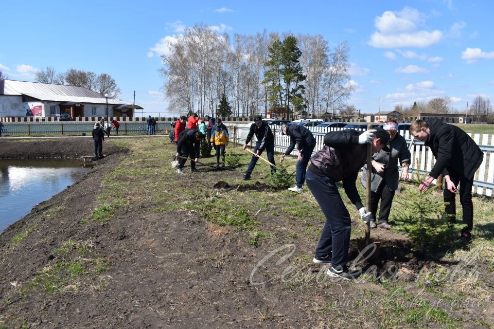 В Кривоозерках благоустроили парк отдыха