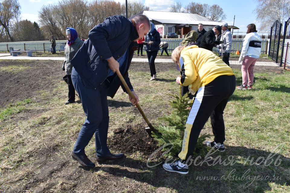 В Кривоозерках благоустроили парк отдыха