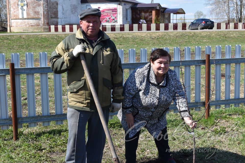 В Кривоозерках благоустроили парк отдыха