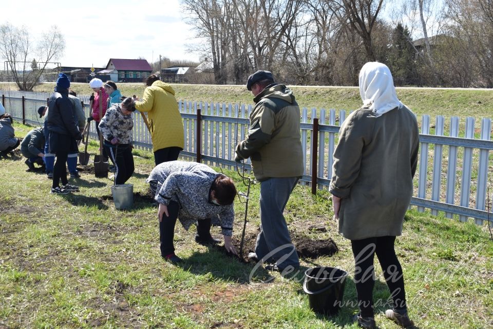 В Кривоозерках благоустроили парк отдыха