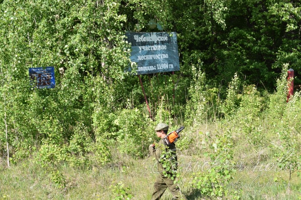 Захламление природы ничем не оправдать