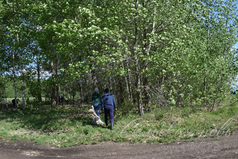 Захламление природы ничем не оправдать