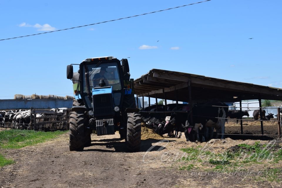 В Аксубаевском районе к заготовке кормов готовы