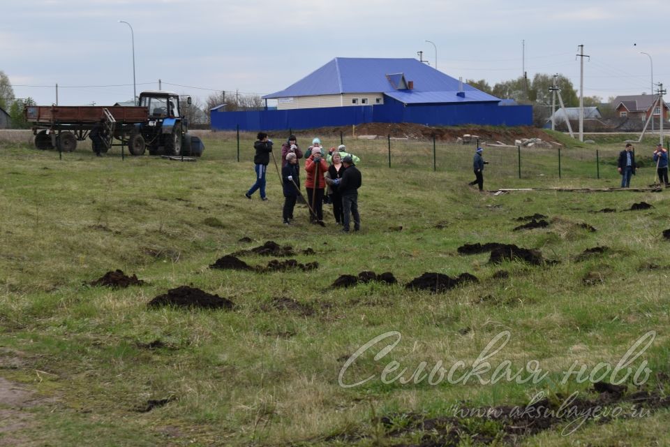 Международная акция «Сад памяти» в Аксубаеве продолжается