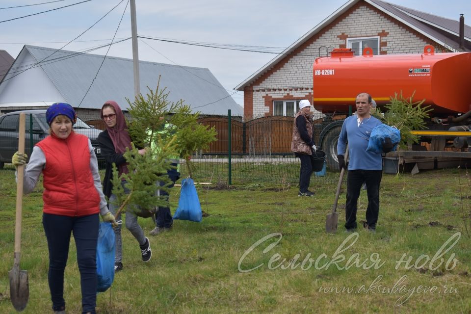 Международная акция «Сад памяти» в Аксубаеве продолжается