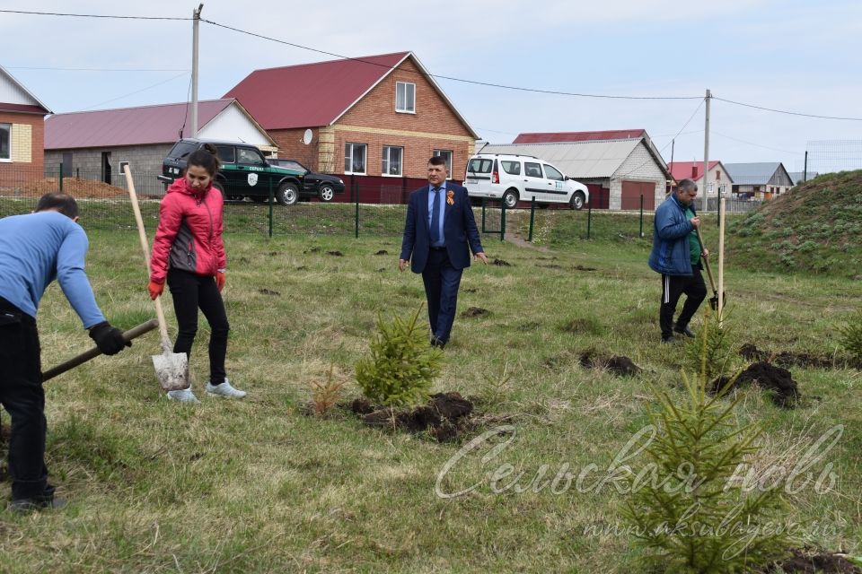 Международная акция «Сад памяти» в Аксубаеве продолжается