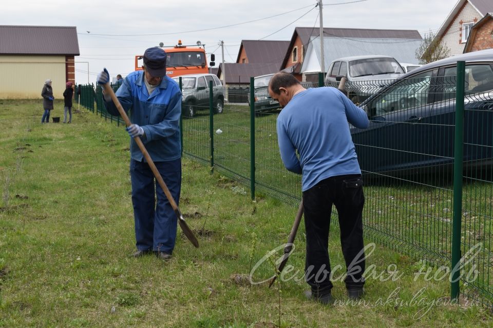 Международная акция «Сад памяти» в Аксубаеве продолжается