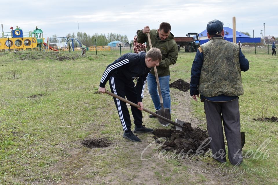 Международная акция «Сад памяти» в Аксубаеве продолжается