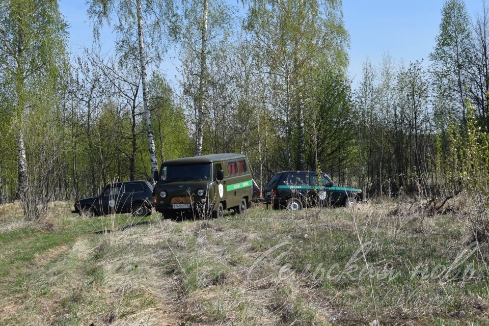 В Аксубаевском лесничестве в память о героях войны вырастит сосновый лес