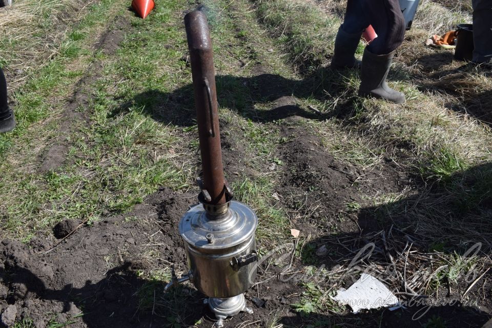 В Аксубаевском лесничестве в память о героях войны вырастит сосновый лес