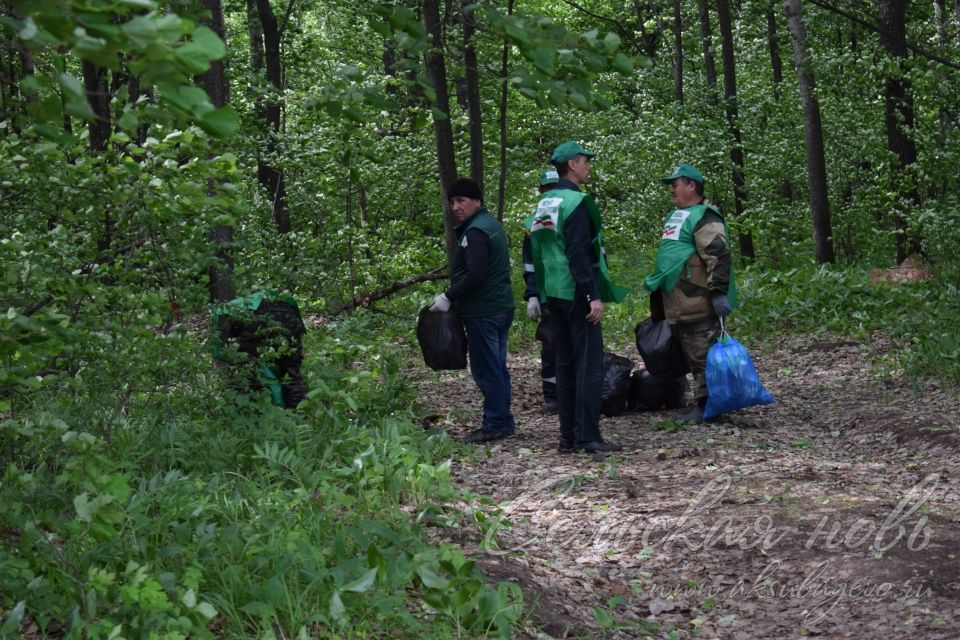 Привели участок Аксубаевского лесничества в полный порядок