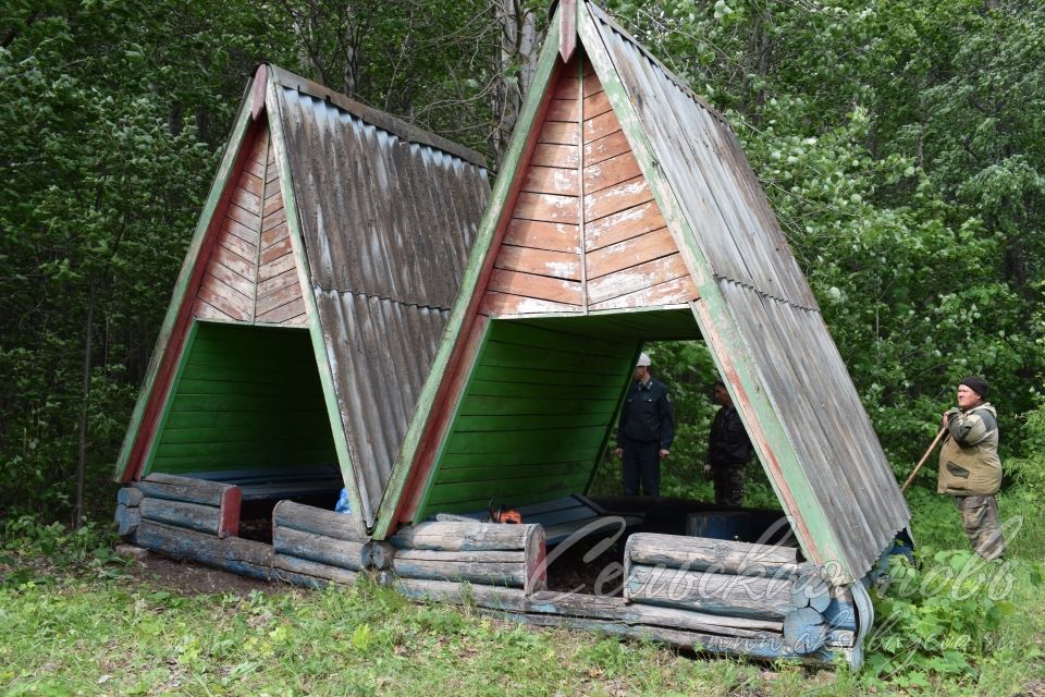 Привели участок Аксубаевского лесничества в полный порядок