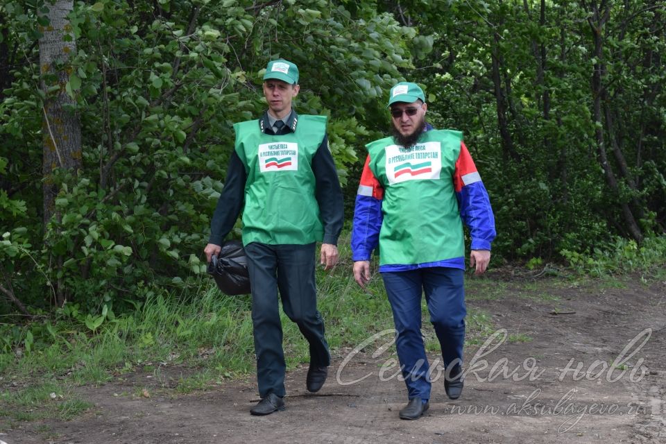 Привели участок Аксубаевского лесничества в полный порядок