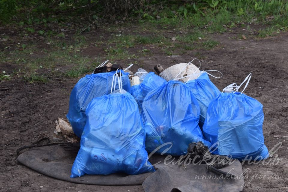 Привели участок Аксубаевского лесничества в полный порядок