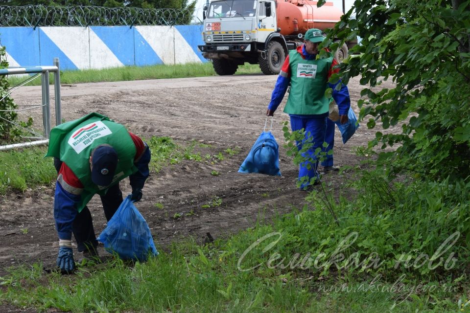 Привели участок Аксубаевского лесничества в полный порядок