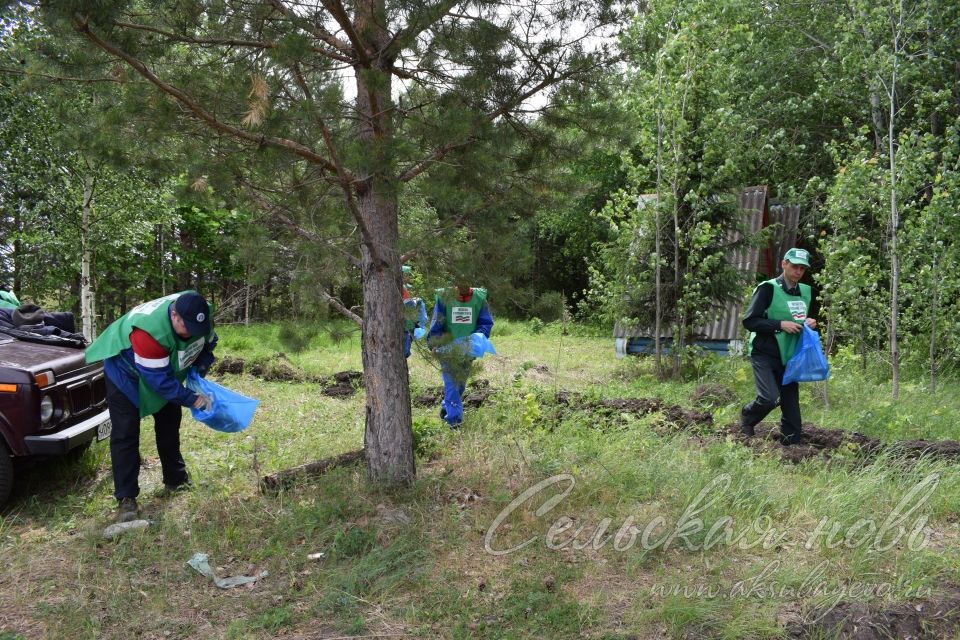 Привели участок Аксубаевского лесничества в полный порядок