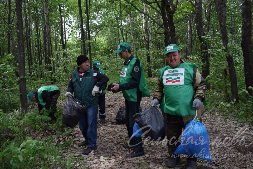 Привели участок Аксубаевского лесничества в полный порядок