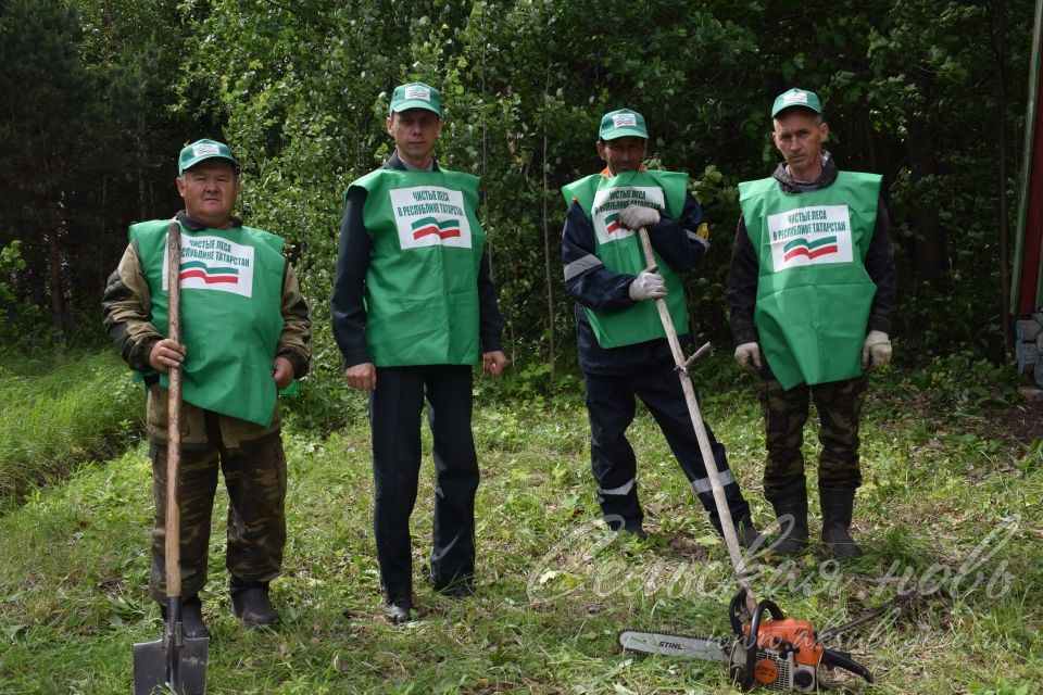 Привели участок Аксубаевского лесничества в полный порядок