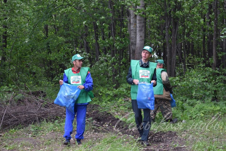 Привели участок Аксубаевского лесничества в полный порядок