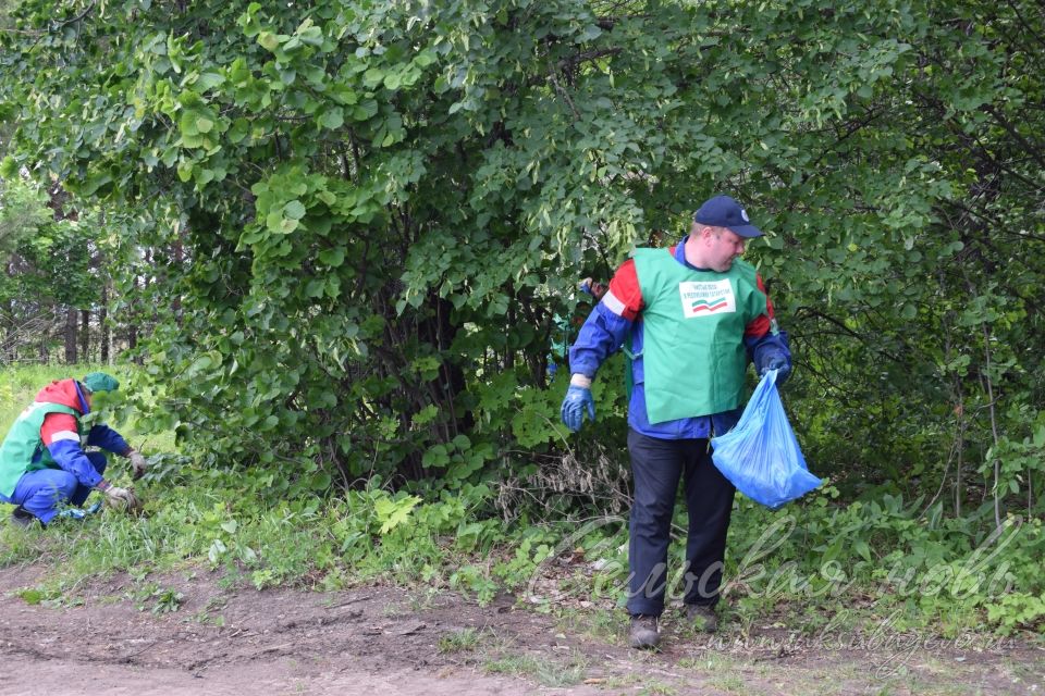 Привели участок Аксубаевского лесничества в полный порядок