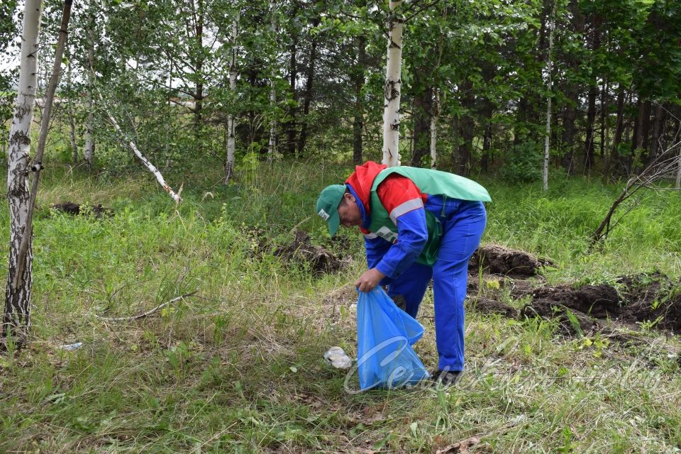 Привели участок Аксубаевского лесничества в полный порядок