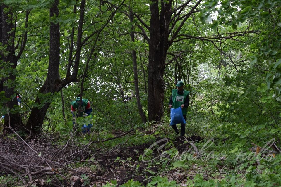 Привели участок Аксубаевского лесничества в полный порядок