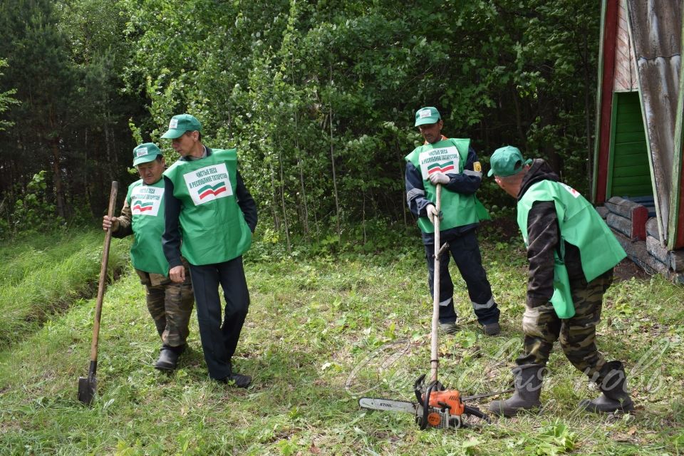 Привели участок Аксубаевского лесничества в полный порядок