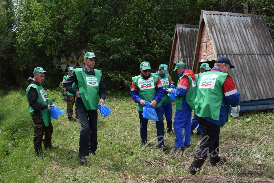 Привели участок Аксубаевского лесничества в полный порядок