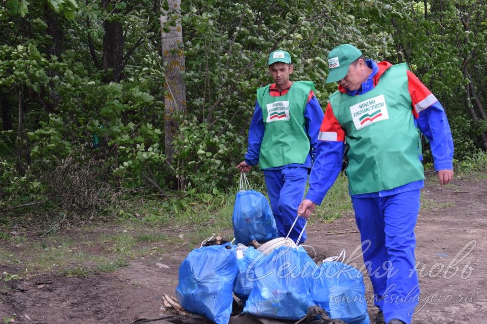 Привели участок Аксубаевского лесничества в полный порядок